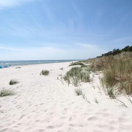 Wale - 100m From The Sea By Interhome * Neksø