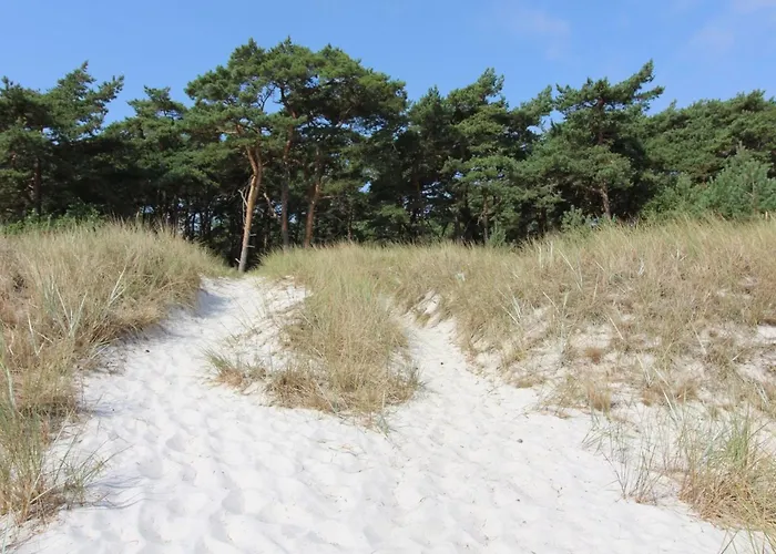 Wale - 100m From The Sea By Interhome *